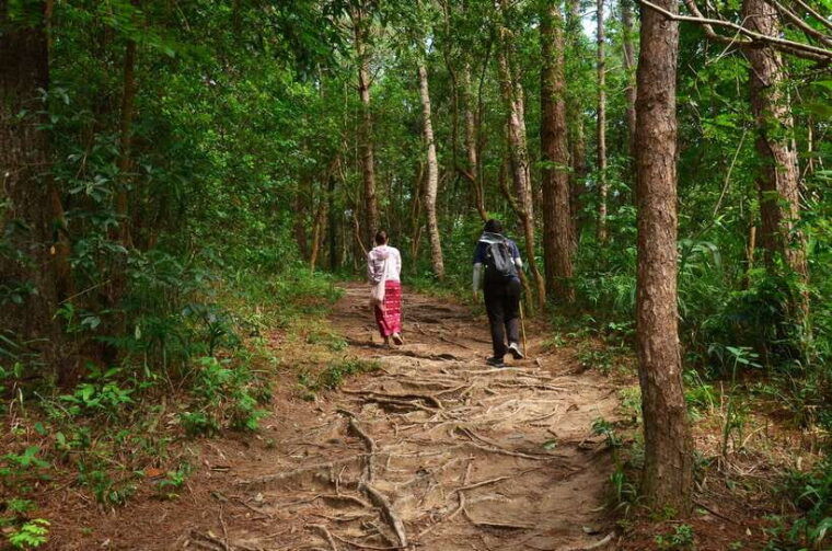 chiang-mai-doi-inthanon-national-park-private-tour