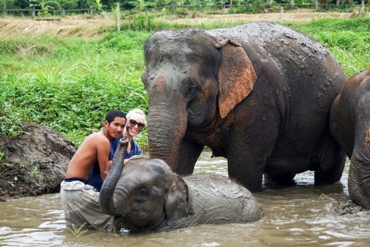 chiang-mai-small-group-ethical-elephant-sanctuary-tour