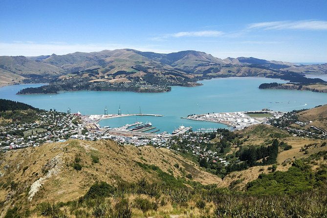 Christchurch Coastal Hiking Tour - Final Thoughts
