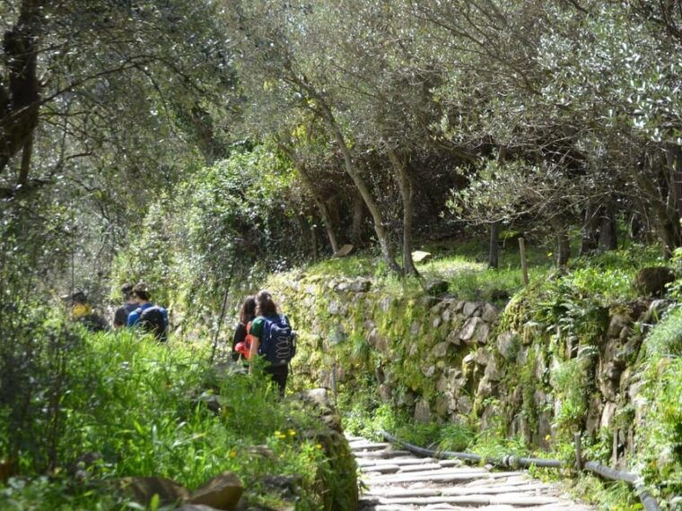 cinque-terre-eco-hiking-and-wine-tasting