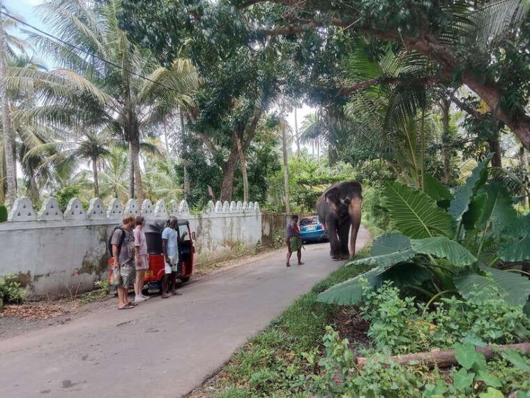 city-tour-discover-aluthgama-with-thrilling-adventures