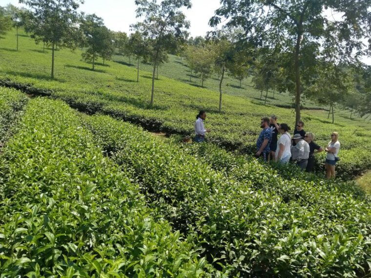 coffee-wine-tea-da-lats-agricultural-treasures-tour