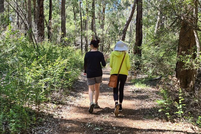 Collie Hike & Paddle Gourmet Grazing Experience - Final Thoughts