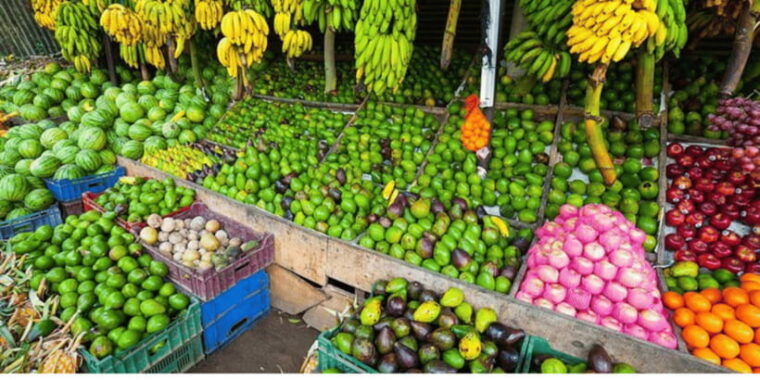 colombo-local-market-tour-cooking-demo-with-lunch