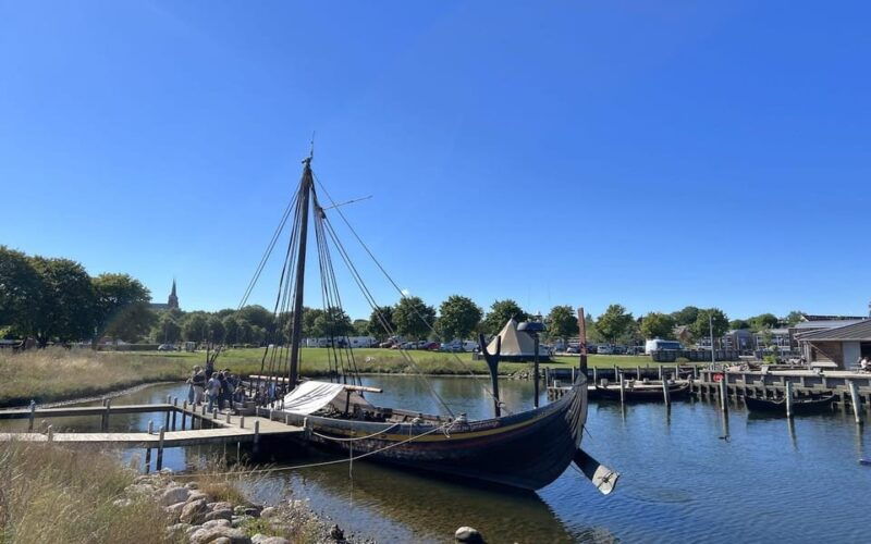 copenhagen-roskilde-viking-city-tour-in-spanish