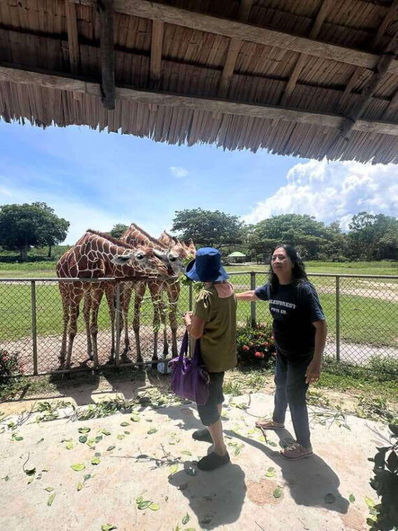 coron-calauit-safari-black-island-lunch-transfer-included