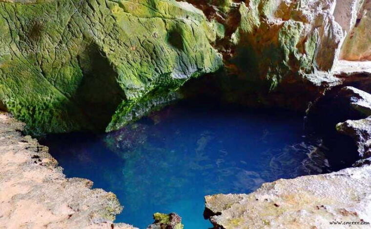 coron-calauit-safari-tour-private-tour