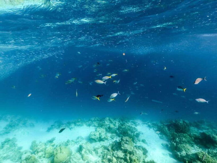 coron-island-hopping-super-ultimate-private-tour