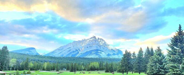 couples-meditation-tour-lake-louise-marble-canyon-more