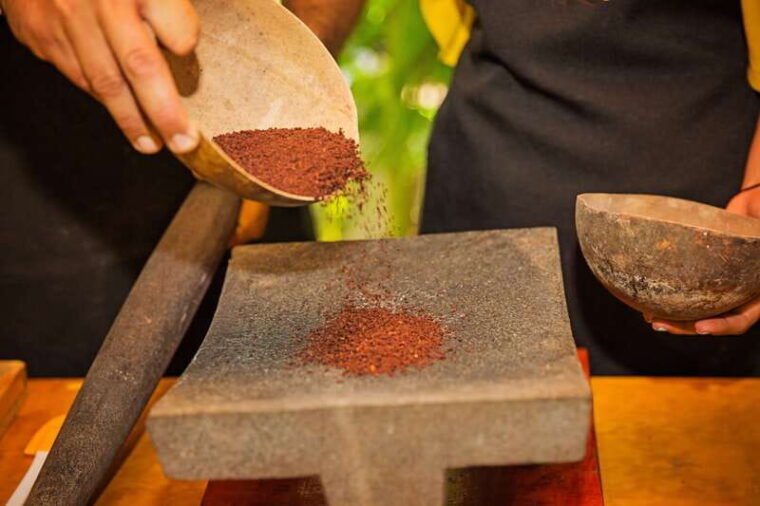 cozumel-chocolate-workshop-at-the-mayan-cacao-company