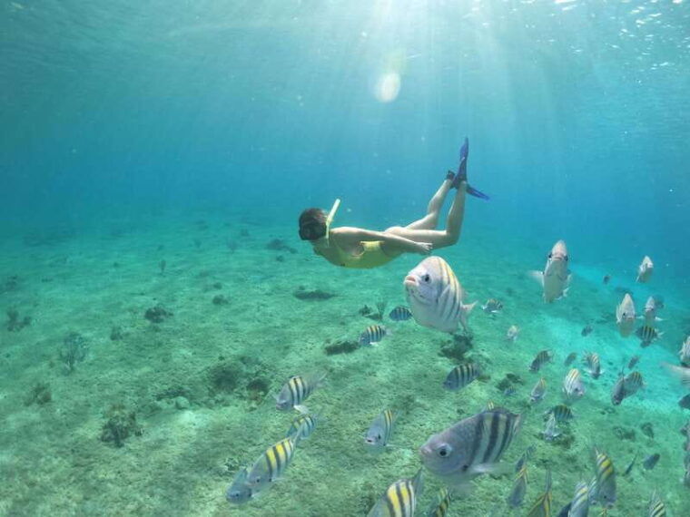 cozumel-invisible-boat-snorkeling-tour
