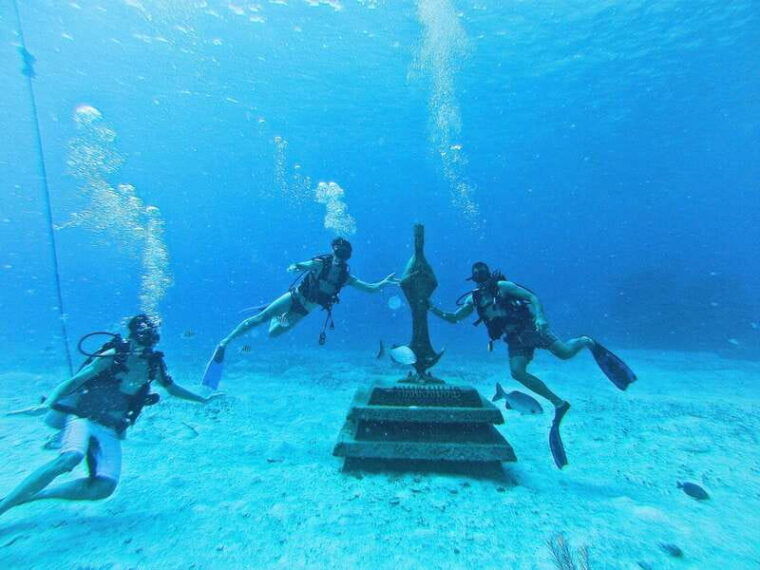 cozumel-one-tank-scuba-dive-and-full-chankanaab-park-access