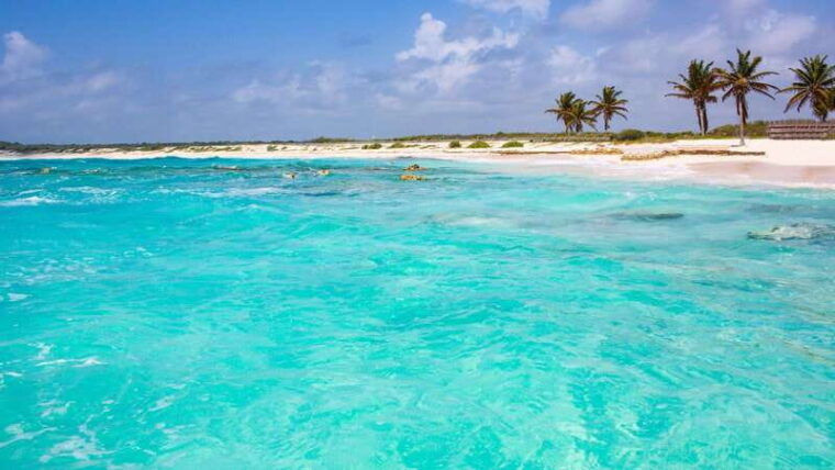 cozumel-transparent-boat-tour