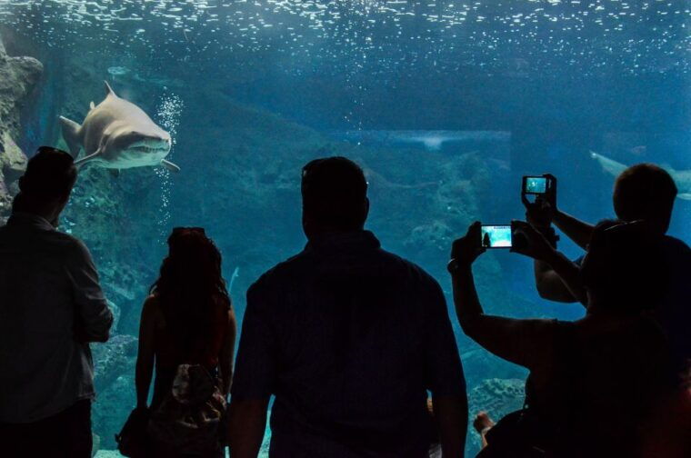 crete-heraklion-center-local-market-and-creta-aquarium