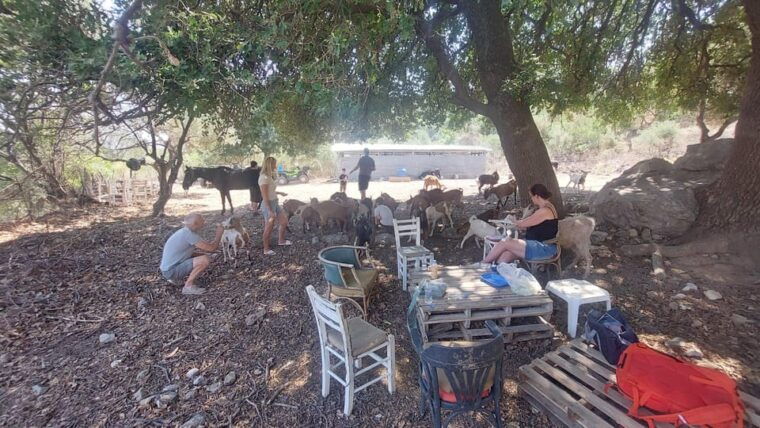 crete-malia-herssonisos-quads-ecotour-adventure-high-perf