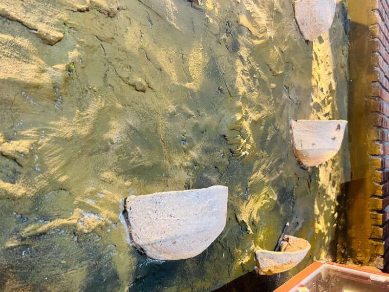 cultural-cruise-discover-hoi-ans-treasure-rhum-production
