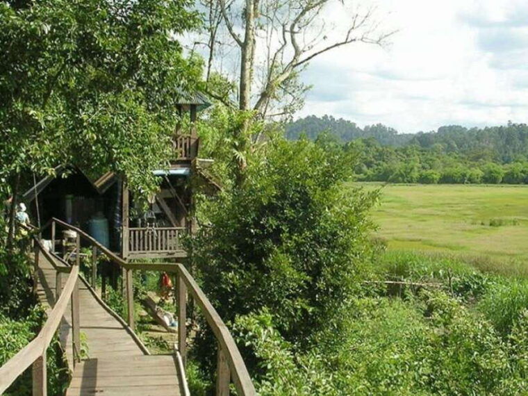 dalat-to-cat-tien-national-park-ho-chi-minh-2-or-3-days