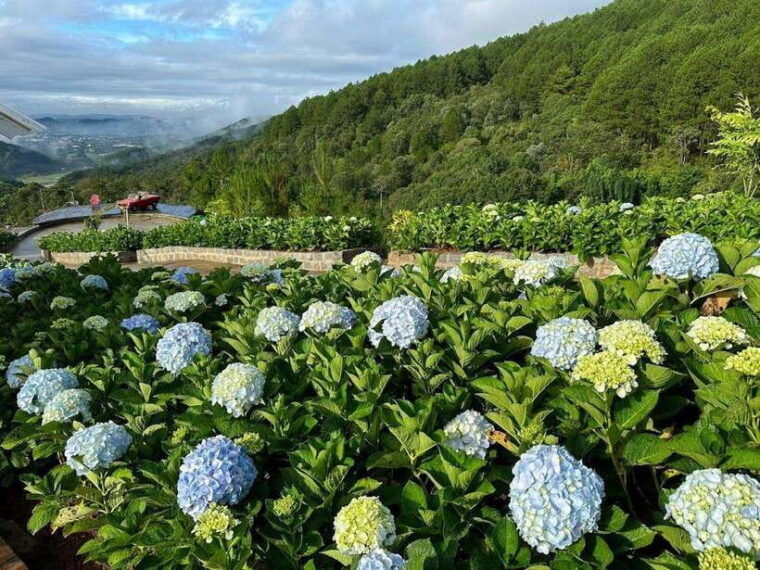 dalat-top-attractions-visit-day-tour
