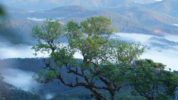 dalat-trekking-to-langbiang-mt