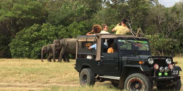 dambulla-sigiriya-polonnaruwa-minneriya-park-jeep-safari