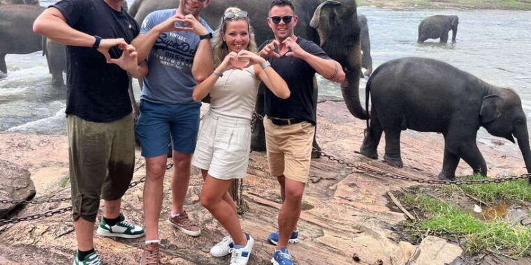 day-tour-to-elephant-orphanage-spice-garden