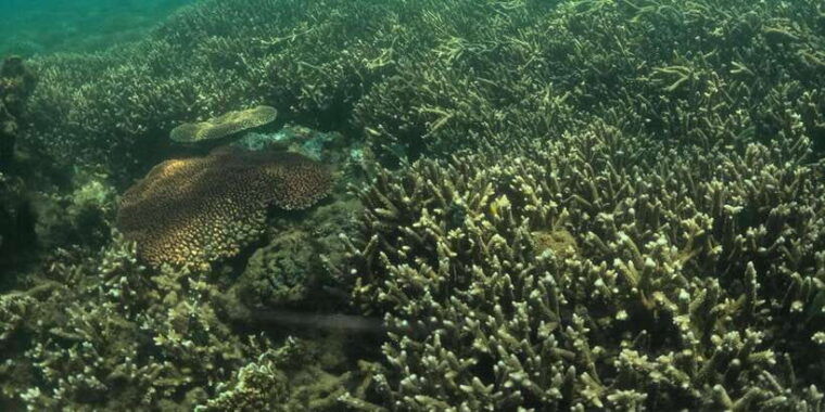 day-trip-5-secret-giilis-in-west-south-of-lombok