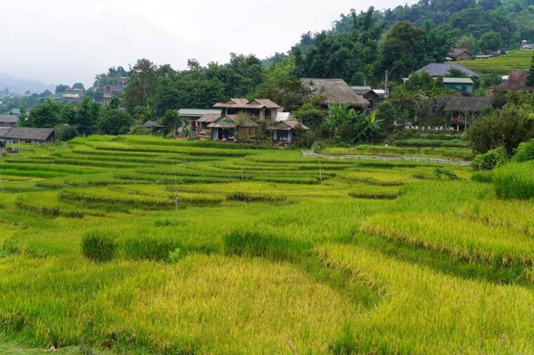 day-trip-to-cat-cat-village-fanxipang-peak-lunch