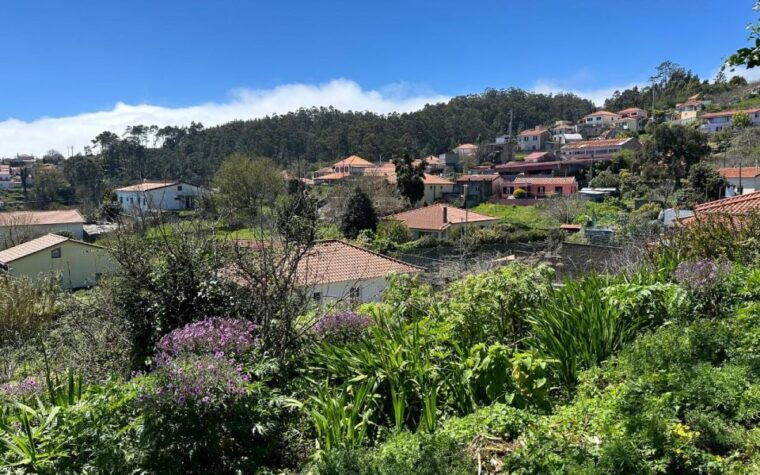 discover-the-paradise-valley-a-quick-escape-for-everyone