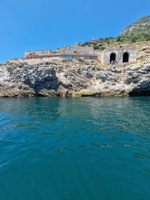 dolphin-watching-sesimbra-arrabida-natural-park