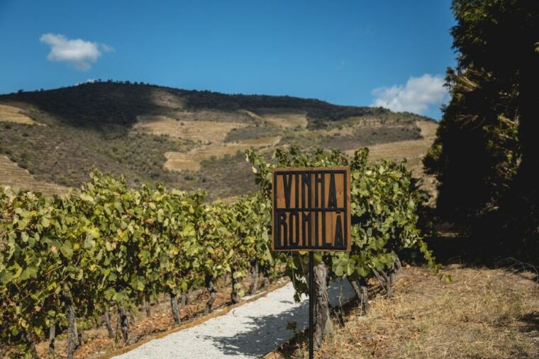 douro-valley-quinta-de-s-luiz-winery-tour-and-tasting