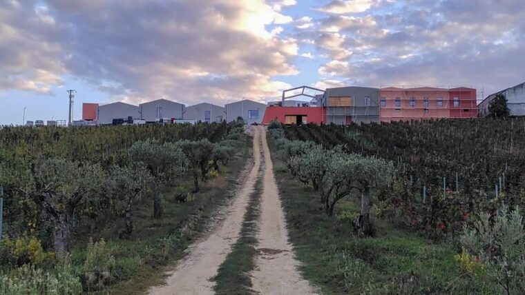 douro-valley-winery-visit-premium-aged-port-wine-tasting