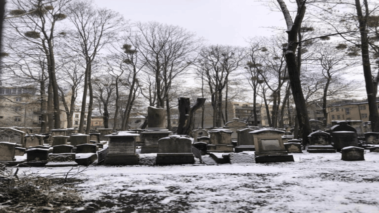 dresden-urban-nature-counter-culture-tours-dogs-welcome