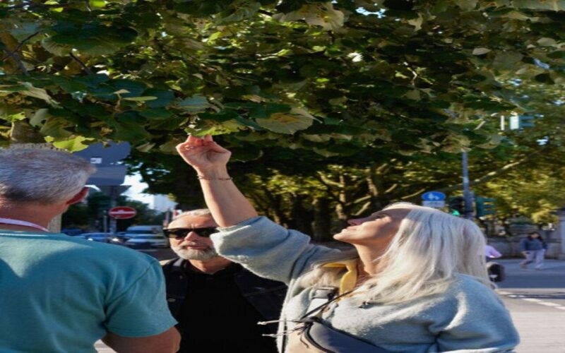 dusseldorf-climate-walk