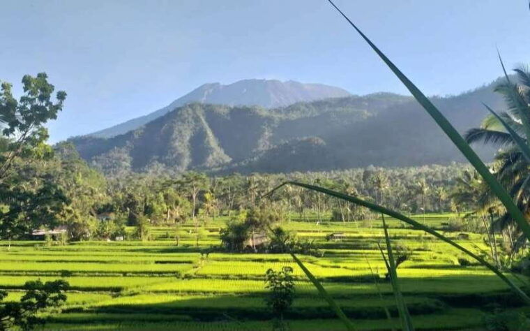 east-bali-authentic-escape-private-tour-all-inclusive