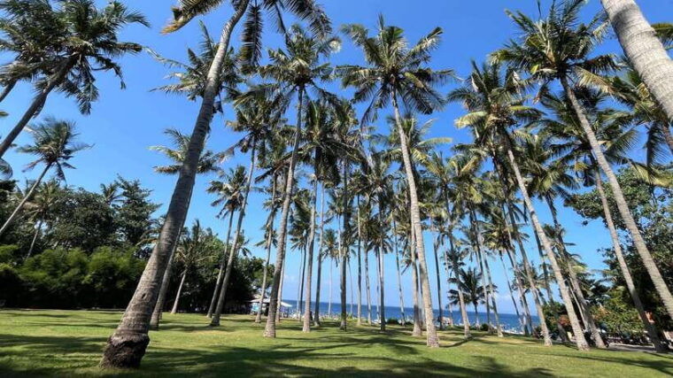 east-bali-gembleng-waterfall-tenganan-and-virgin-beach