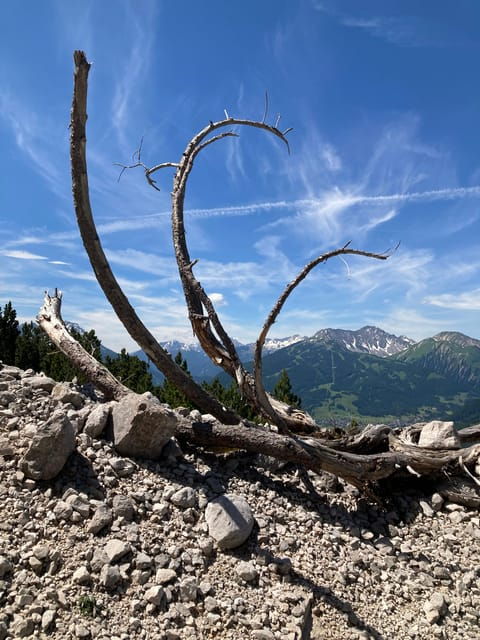 ehrwald-hiking-tour-into-breath-taking-nature