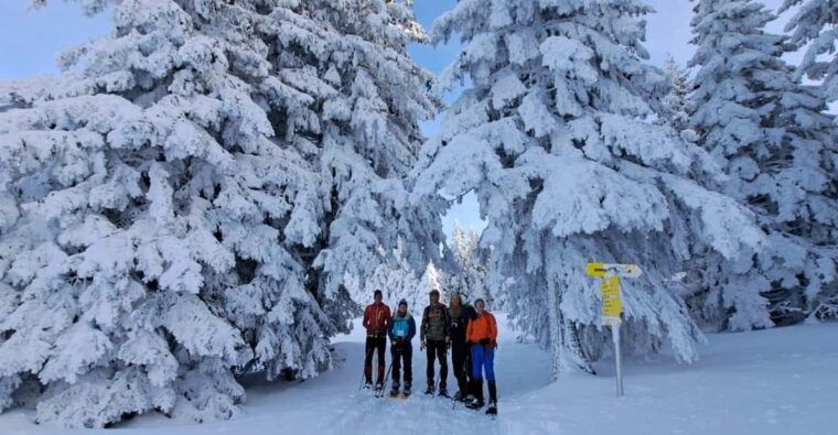 ehrwald-zugspitze-snowshoe-hiking-tour-with-mountain-views