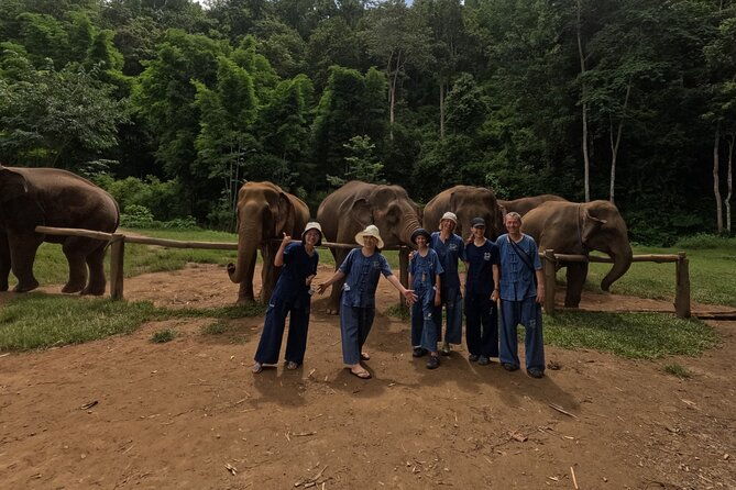 Elephant care program at Chiangmai Elephant Care - Returning to Chiang Mai