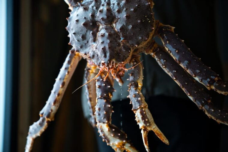 evening-king-crab-adventure-with-dinner