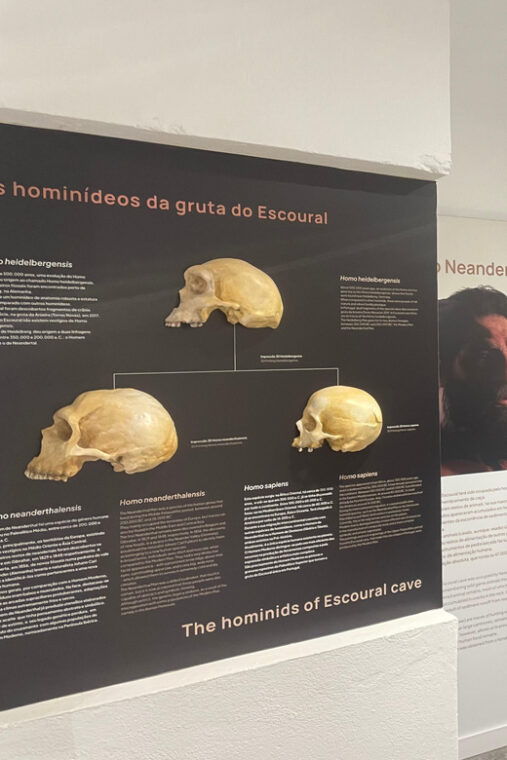 evora-or-montemor-guided-tour-of-the-escoural-caves