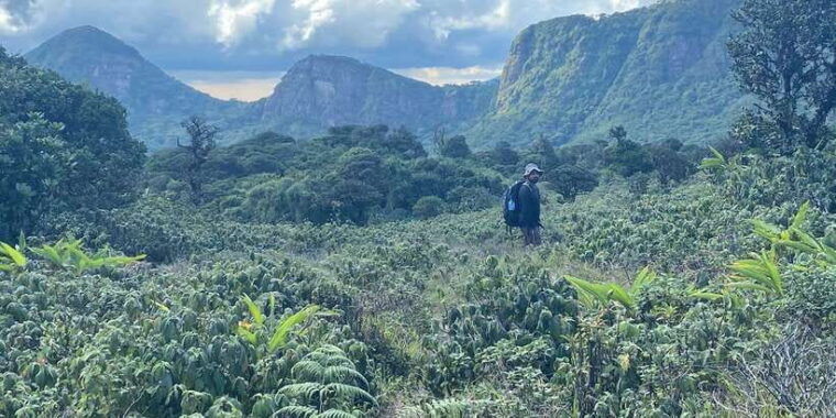 exclusive-knuckles-camping-tour-from-kandy
