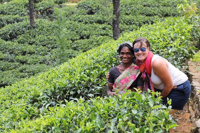 Exclusive : Last Kingdom Private Day Tour in Kandy - Final Thoughts