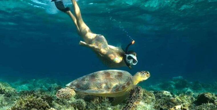 exclusive-snorkeling-experience-to-gili-gede-and-4-gilis