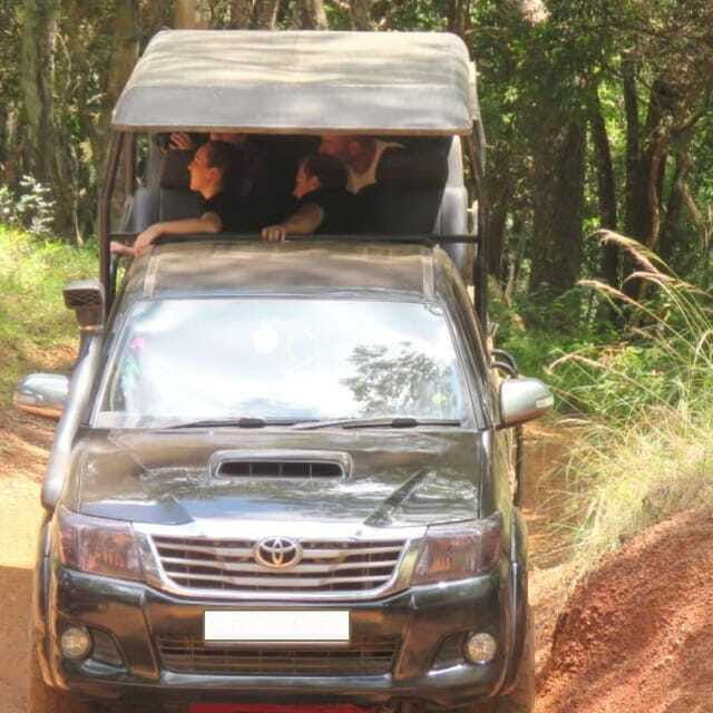 exclusive-wildlife-full-day-adventure-in-wilpattu