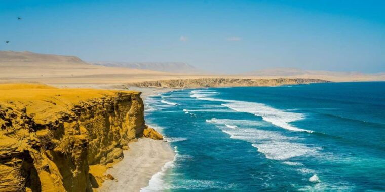 excursion-ballestas-islands-and-paracas-national-reserve-3