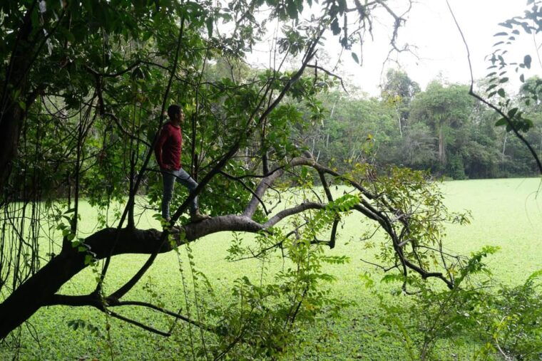 excursion-to-the-pacaya-samiria-national-reserve-jungle