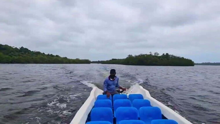 explore-bentota-riversafari-tour-with-hotel-pickupdrop-off