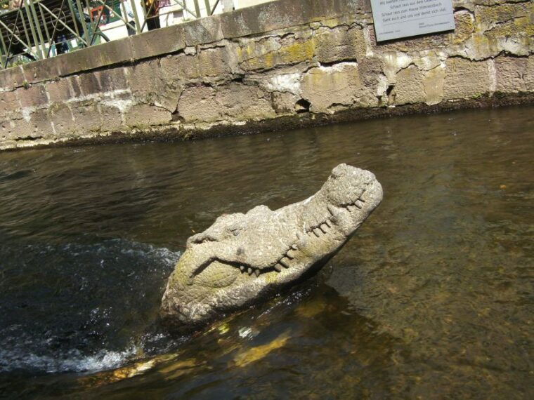 explore-freiburg-with-a-native-english-speaking-guide