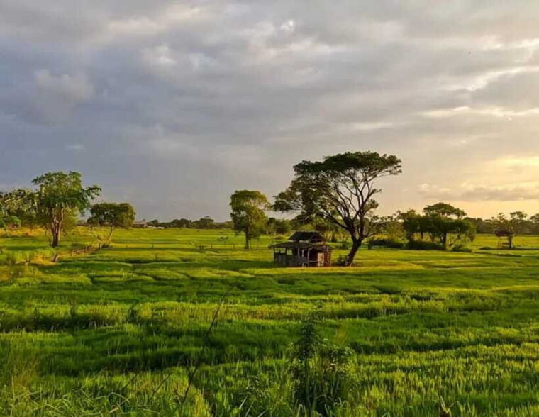 explore-sigiriyas-hidden-gems-off-the-beaten-path-tour