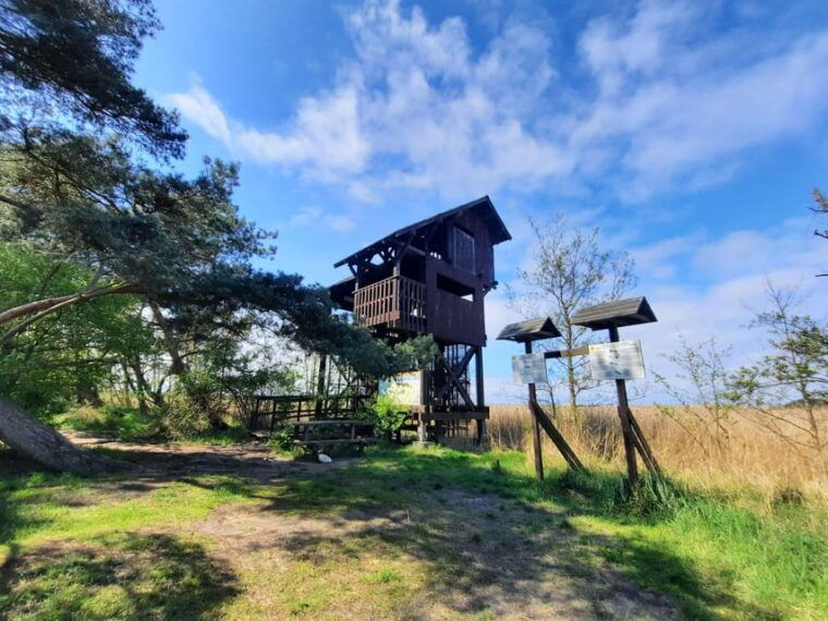 explore-sobieszewo-island-nature-walk-wildlife-tour